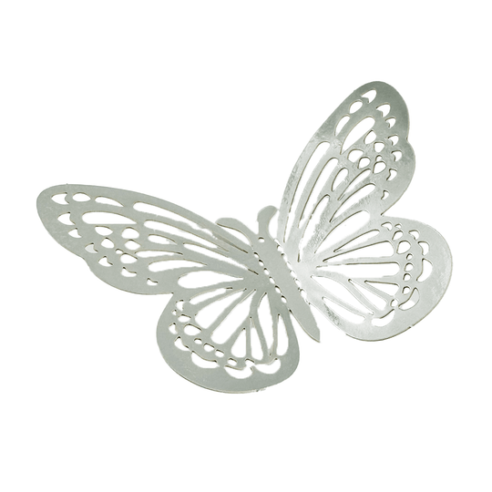 Mariposa Chica - Jack Brotthers