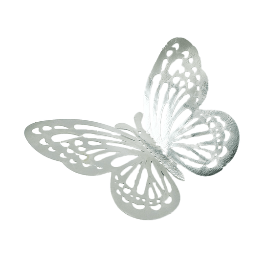 Mariposas Grande - Jack Brotthers